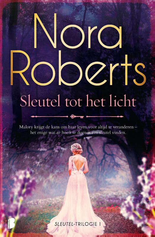 Omslag van Sleutel tot het licht