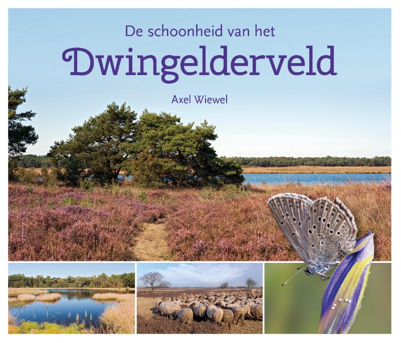 Omslag van De schoonheid van het Dwingelderveld