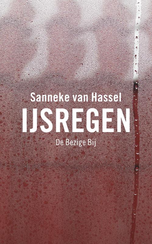Omslag van IJsregen