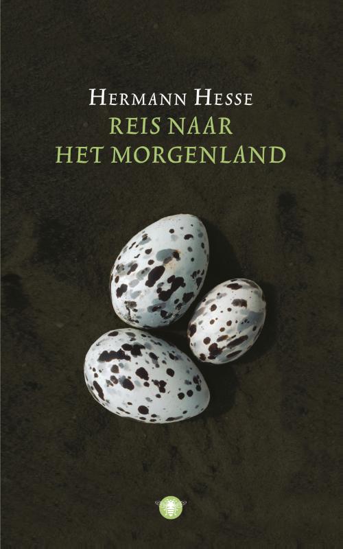 Omslag van Reis naar het morgenland