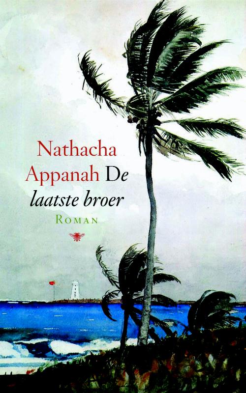 Omslag van De laatste broer