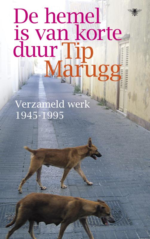 Omslag van De hemel is van korte duur