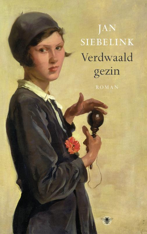 Omslag van Verdwaald gezin
