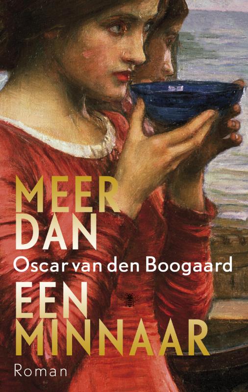 Omslag van Meer dan een minnaar
