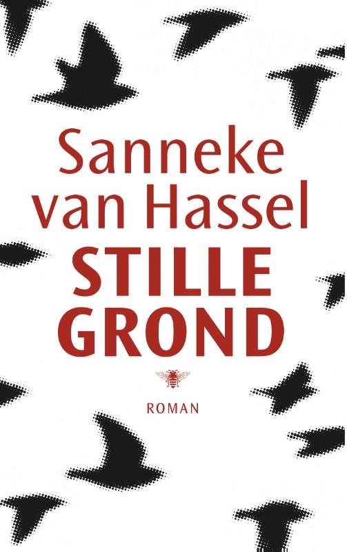 Omslag van Stille grond