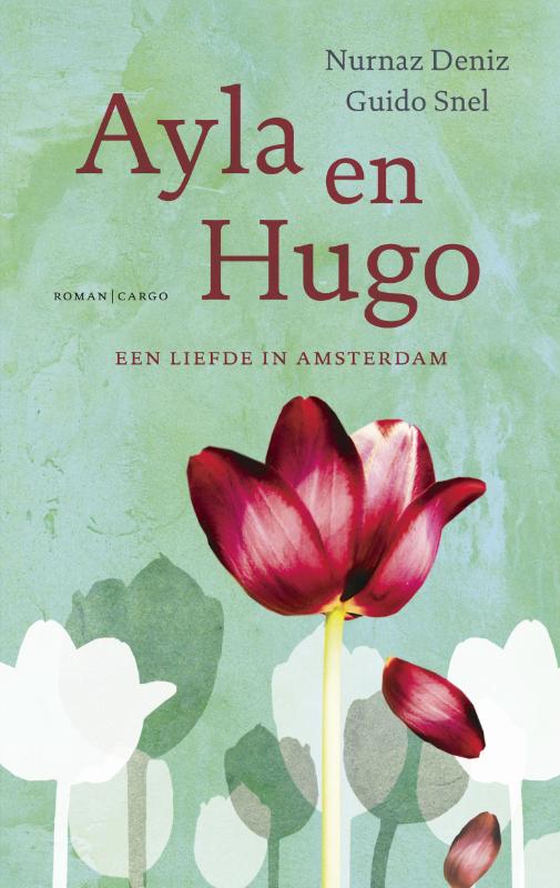 Omslag van Ayla & Hugo