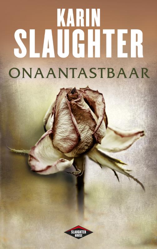 Omslag van Onaantastbaar