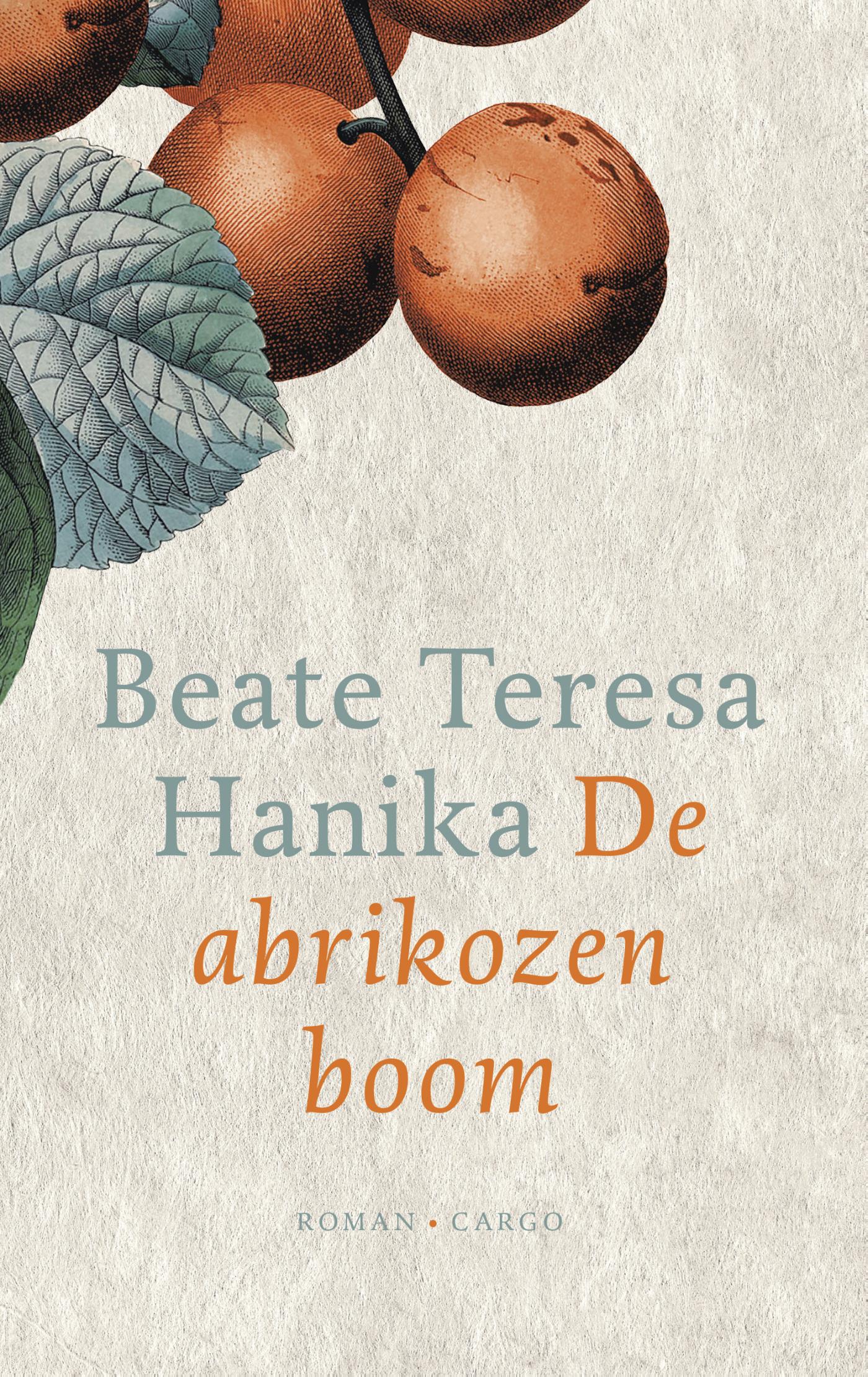 Omslag van De abrikozenboom