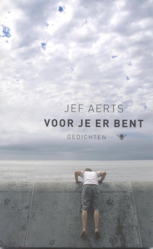 Omslag van Voor je er bent