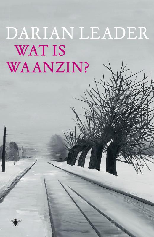 Omslag van Wat is waanzin?