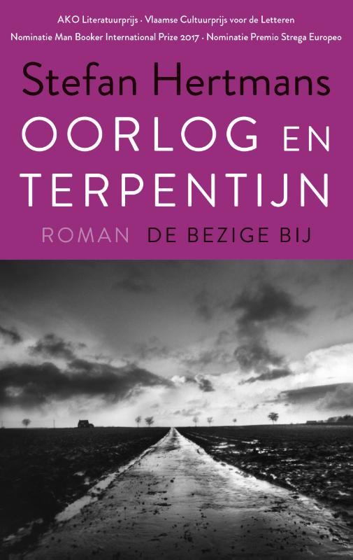 Omslag van Oorlog en terpentijn