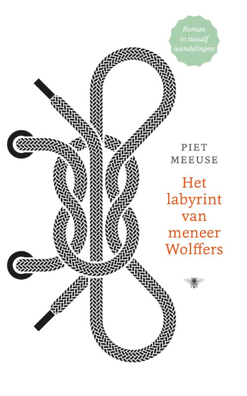 Omslag van Het labyrint van meneer Wolffers