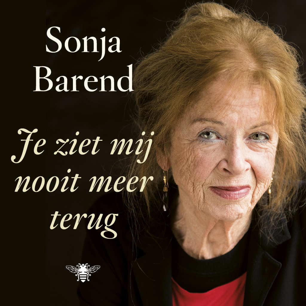 Omslag van Je ziet mij nooit meer terug