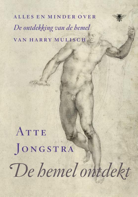 Omslag van De hemel ontdekt