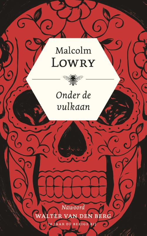Omslag van Onder de vulkaan