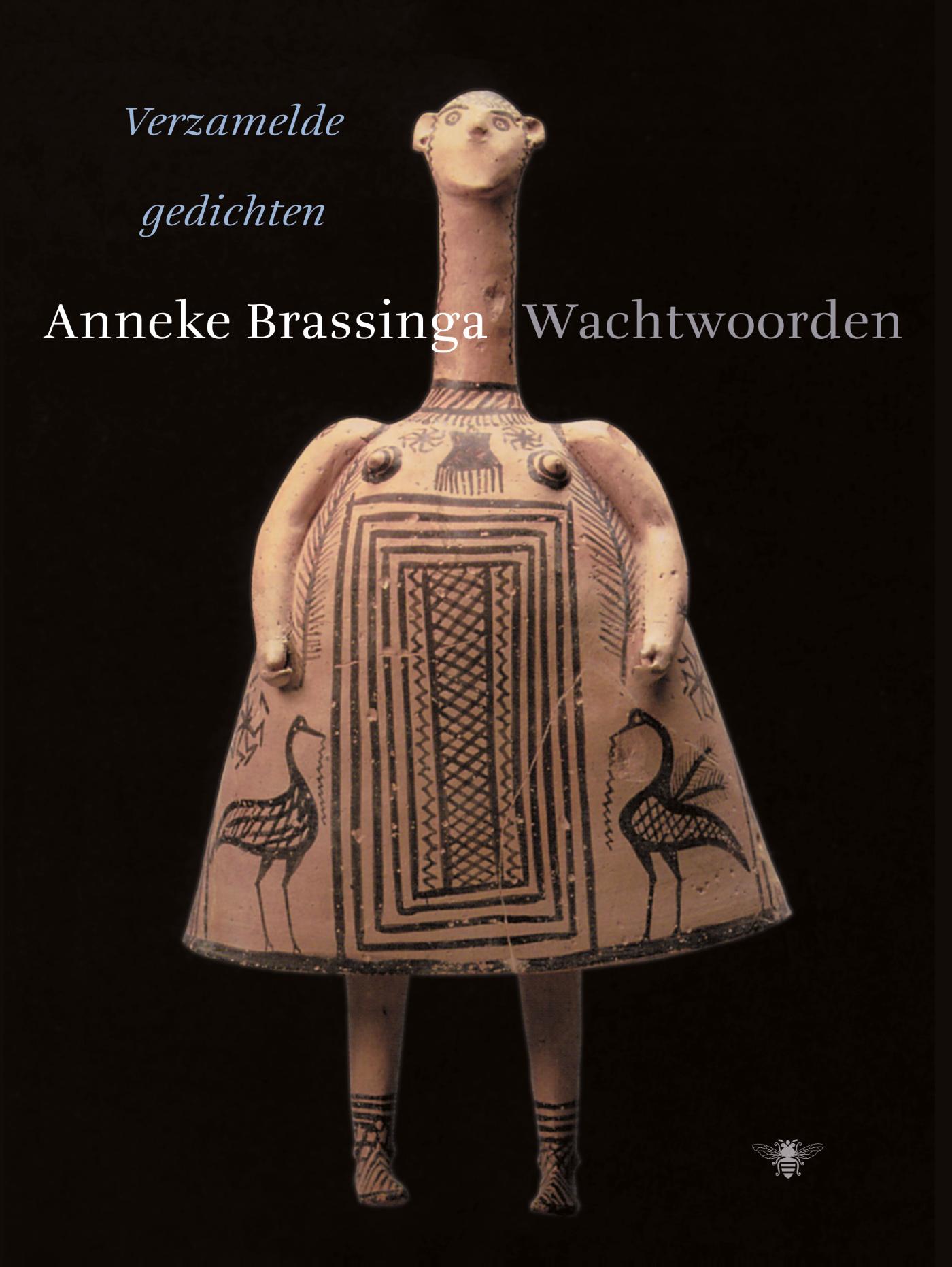 Omslag van Wachtwoorden