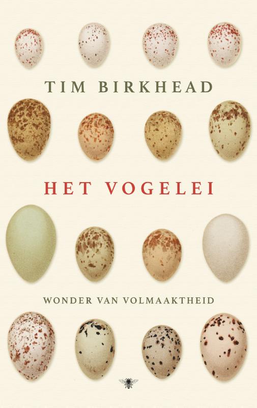 Omslag van Het vogelei