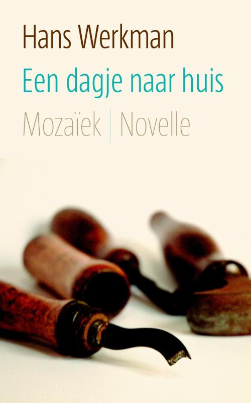 Omslag van Een dagje naar huis