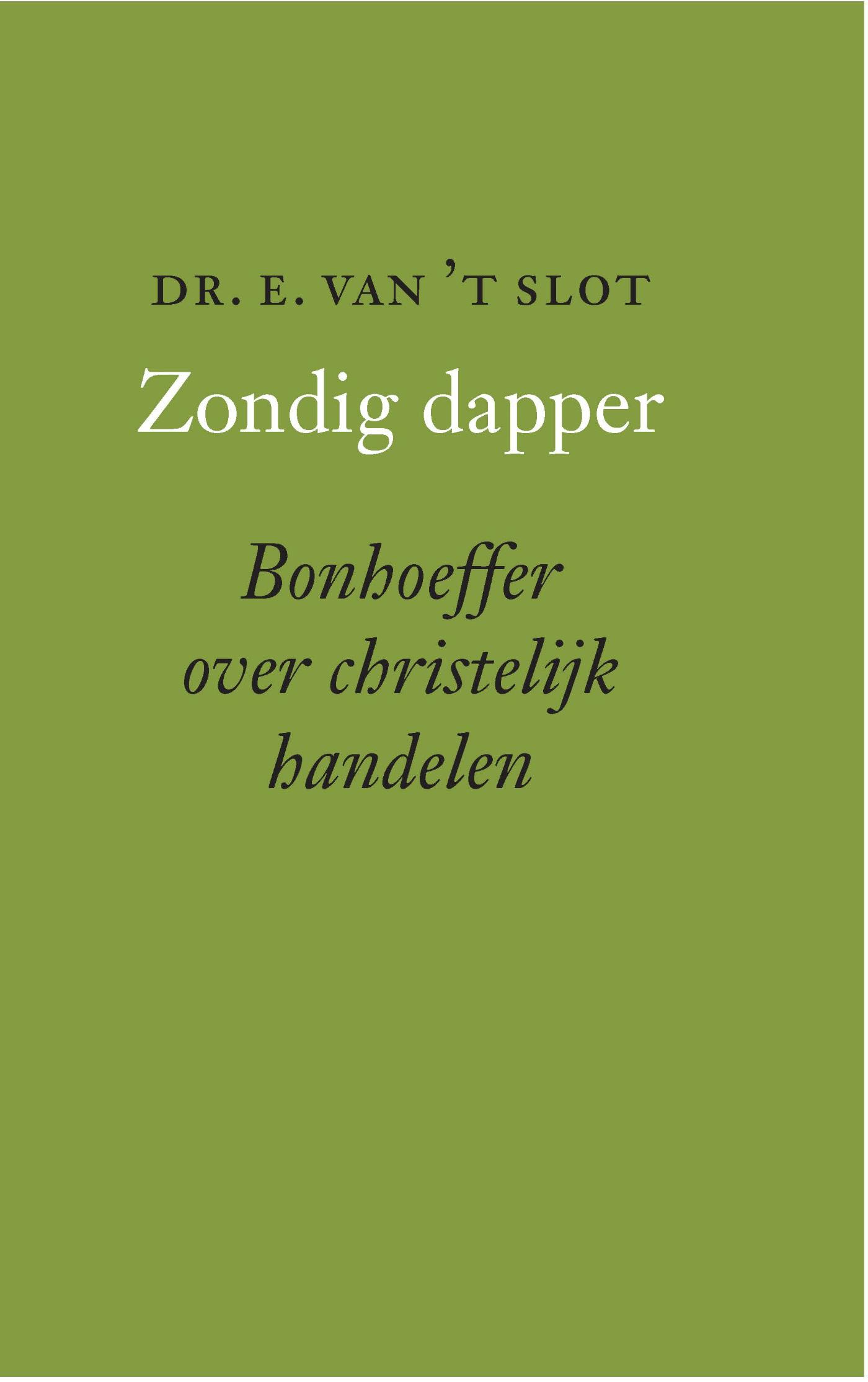 Omslag van Zondig dapper