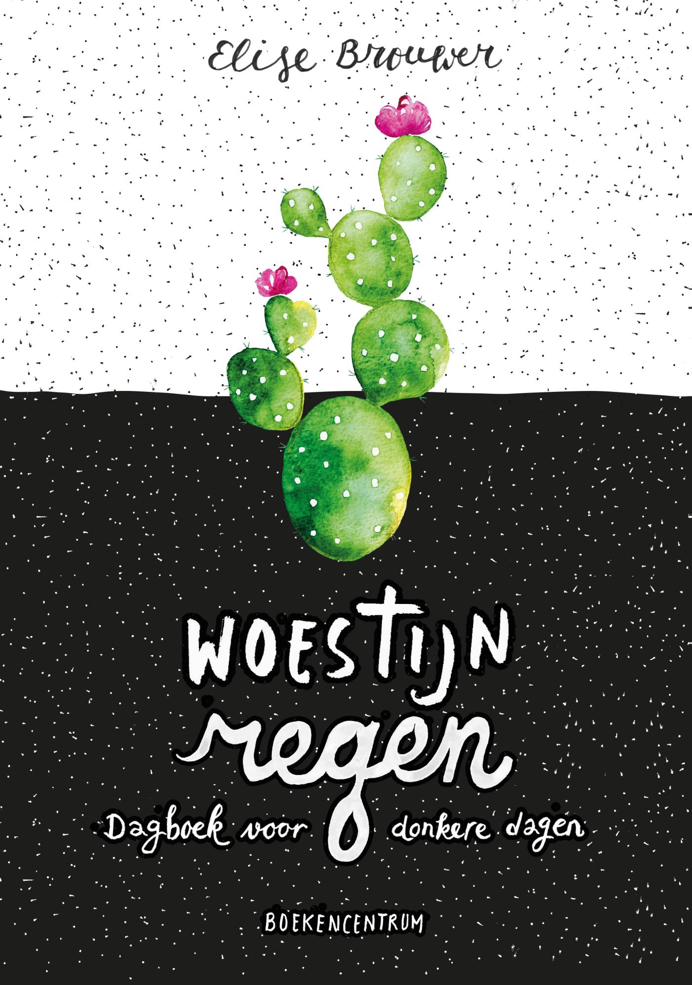 Omslag van Woestijnregen