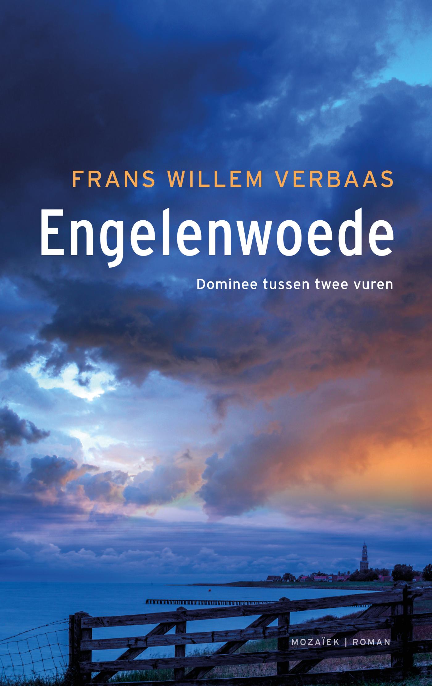 Omslag van Engelenwoede (midprice)