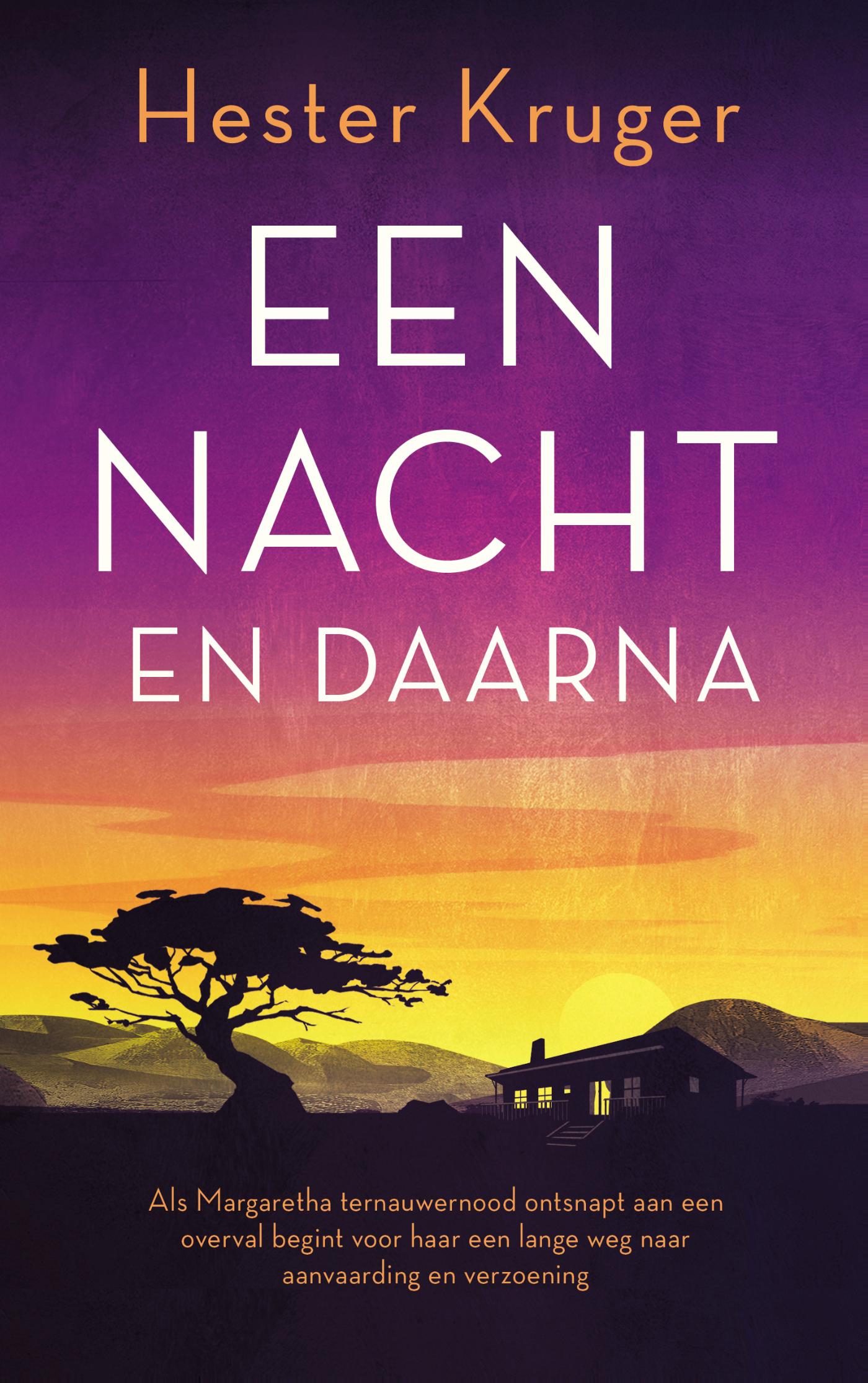 Omslag van Een nacht en daarna