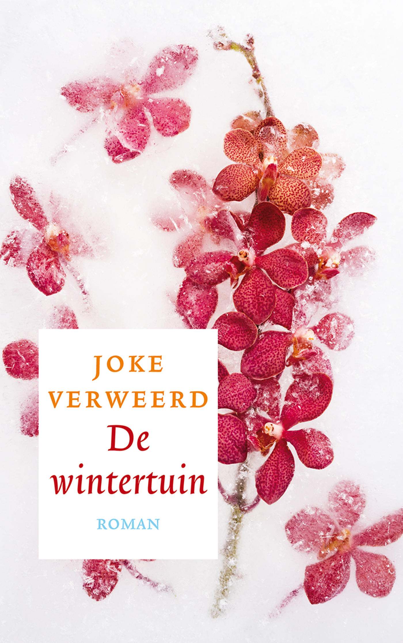 Omslag van De wintertuin