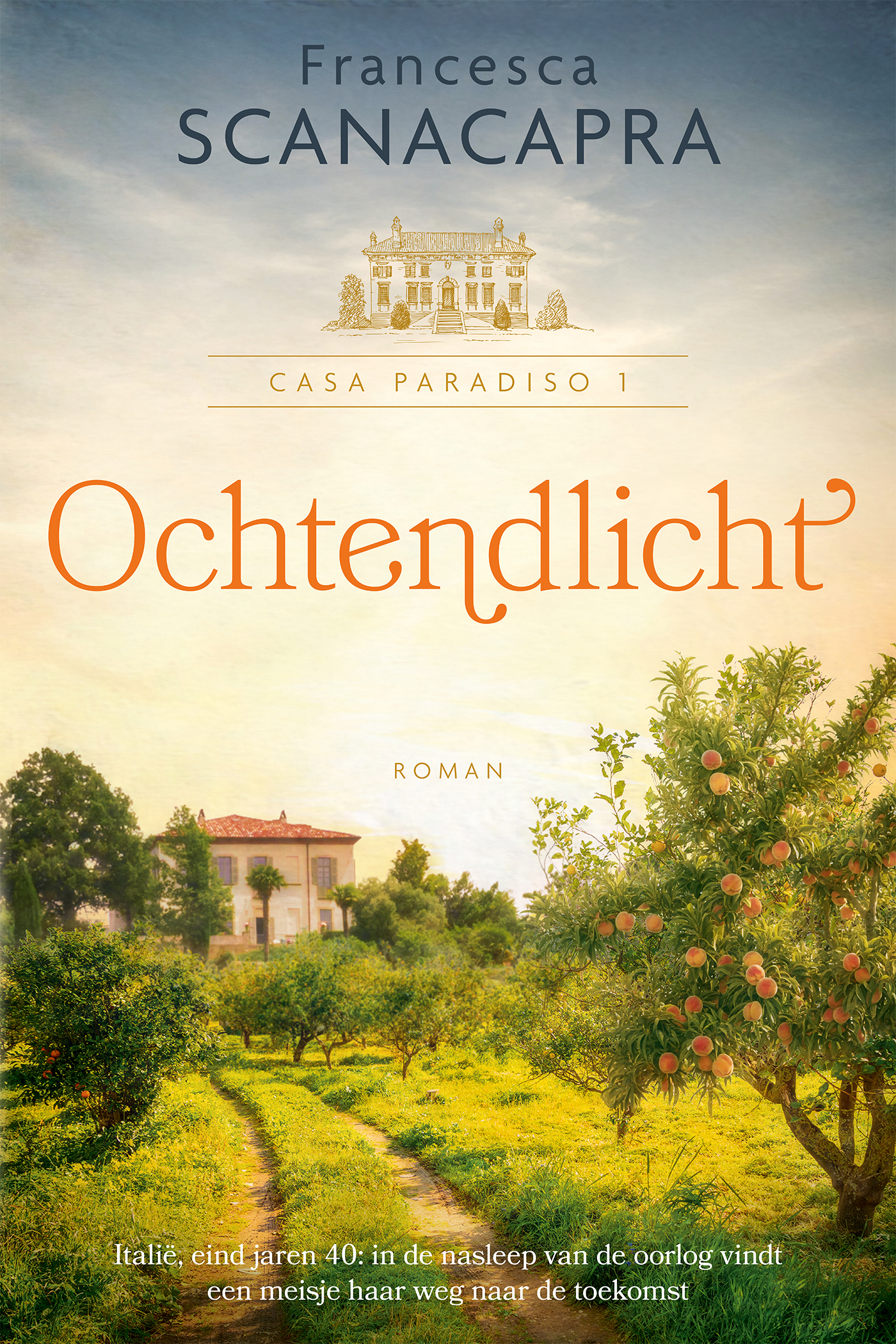 Omslag van Ochtendlicht