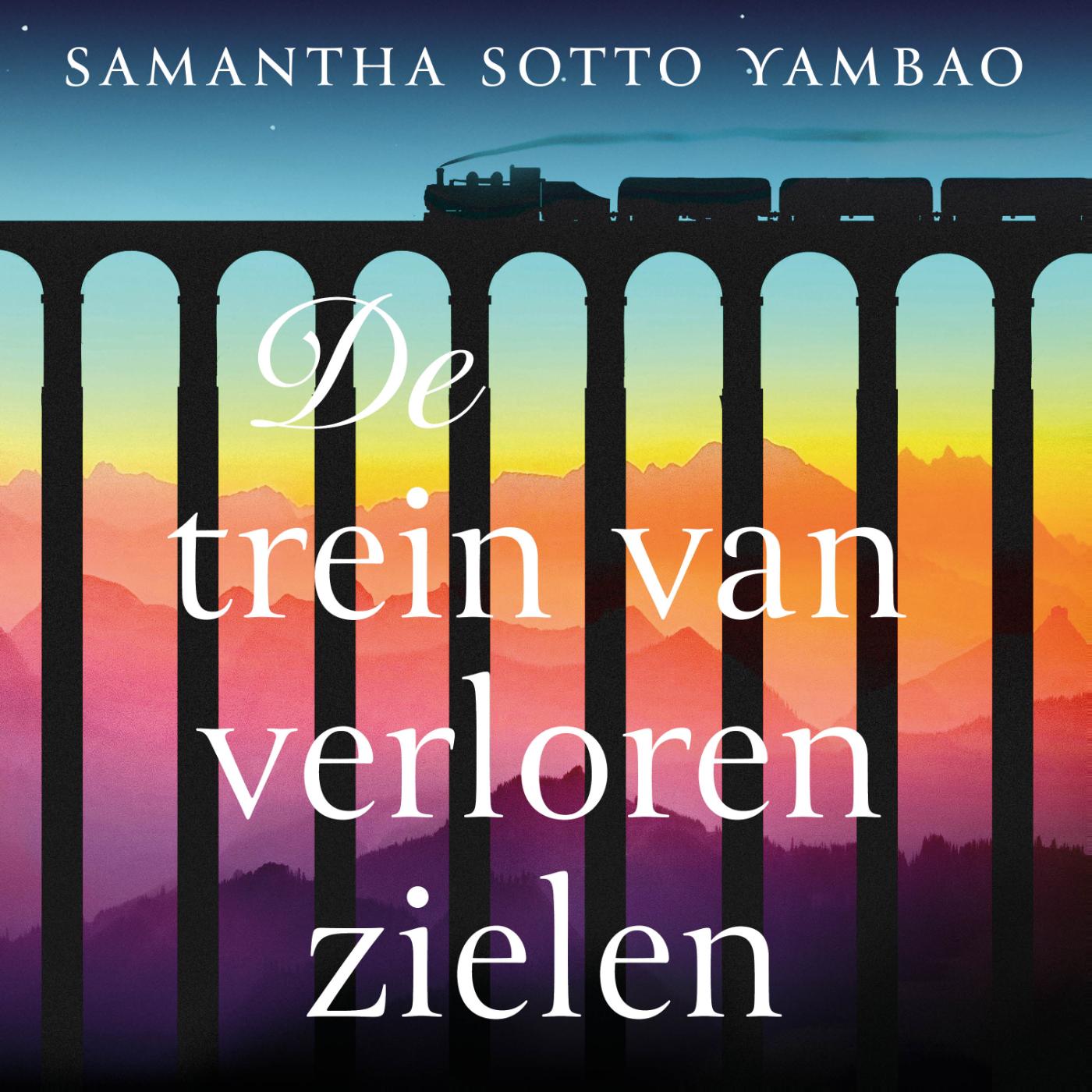 Omslag van De trein van verloren zielen