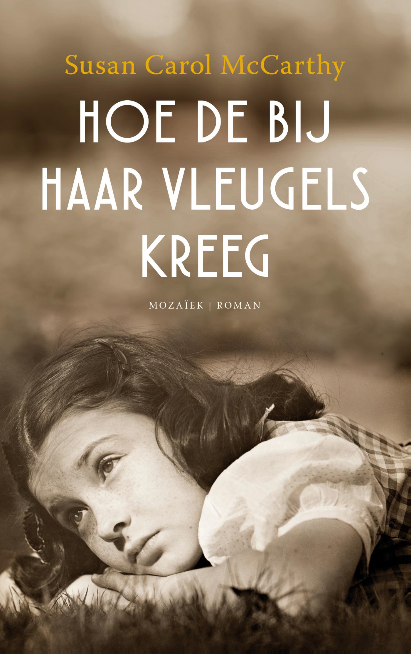 Omslag van Hoe de bij haar vleugels kreeg