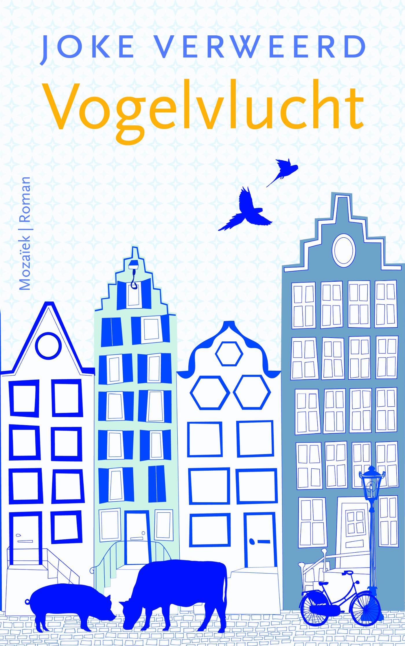 Omslag van Vogelvlucht