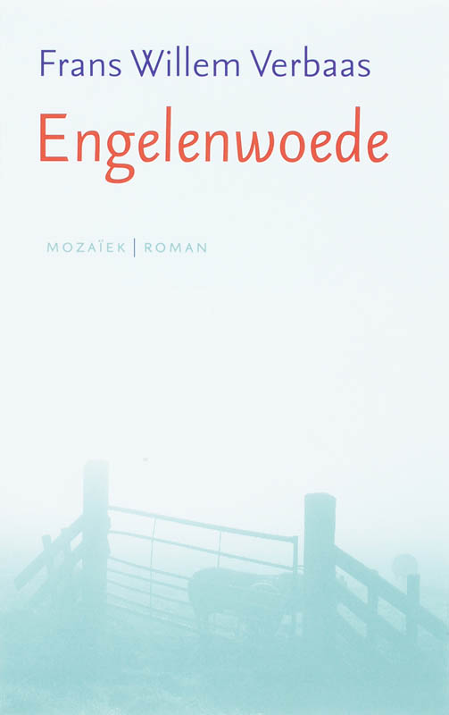 Omslag van Engelenwoede