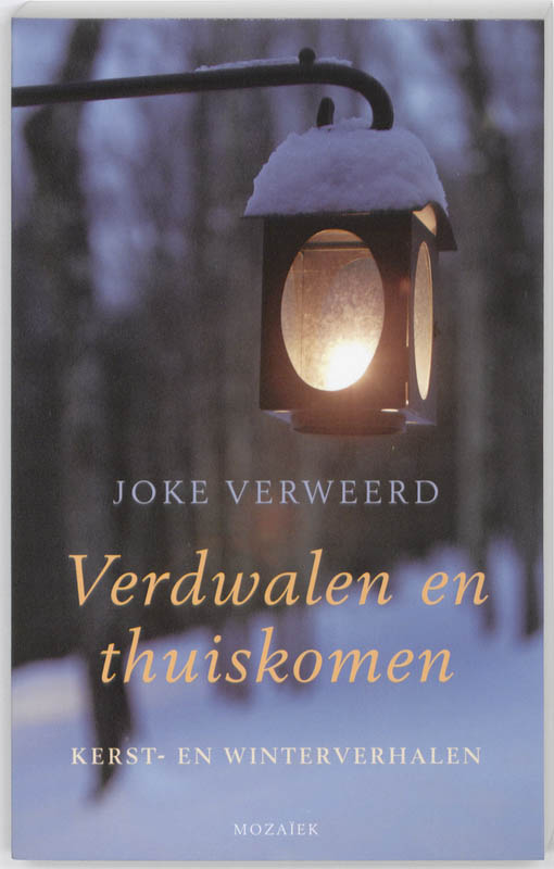 Omslag van Verdwalen en thuiskomen