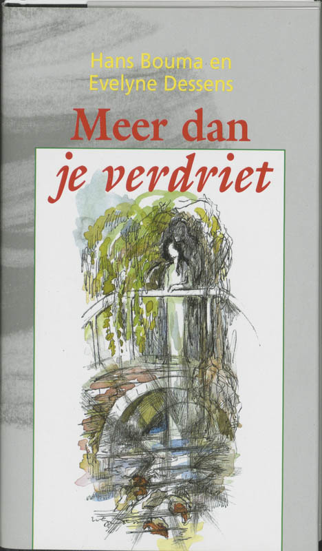 Omslag van Meer dan je verdriet