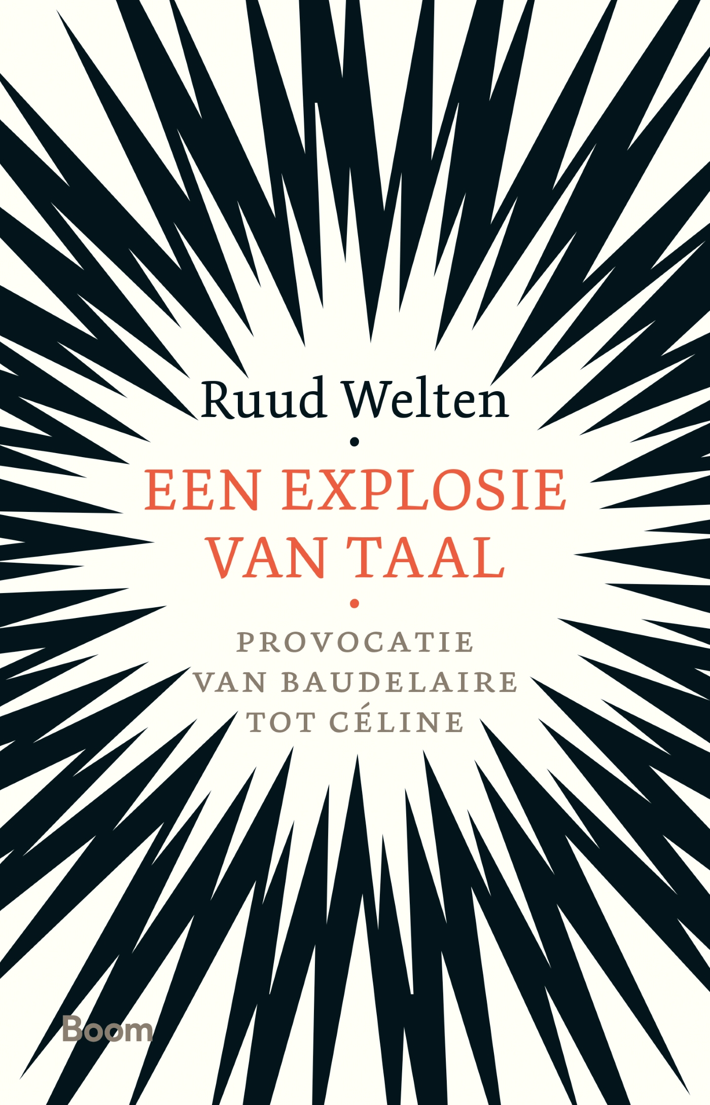 Omslag van Een explosie van taal
