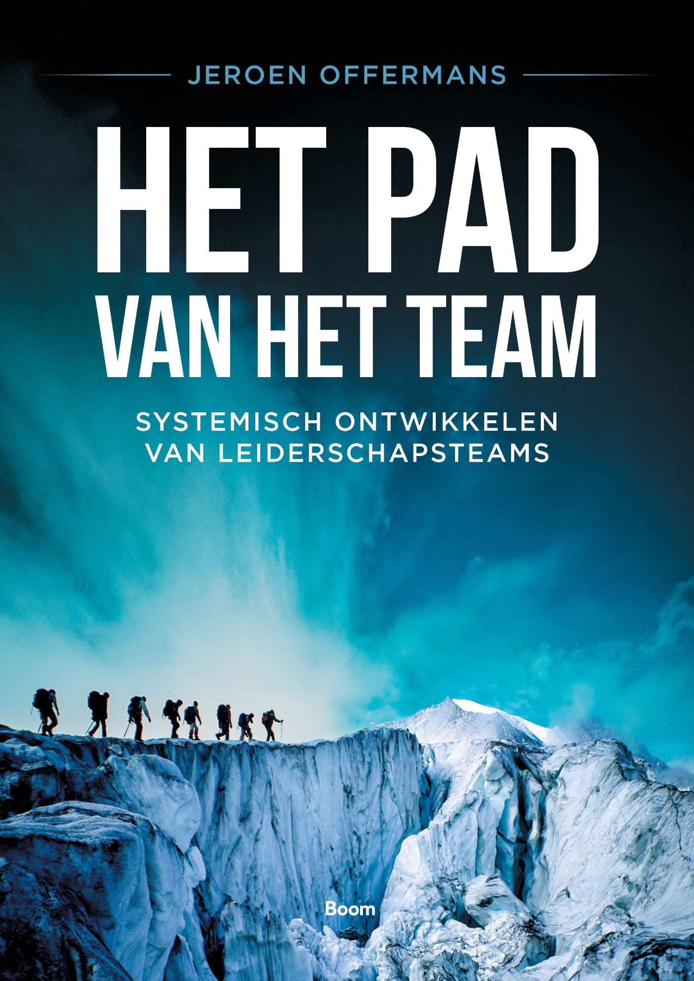 Omslag van Het pad van het team
