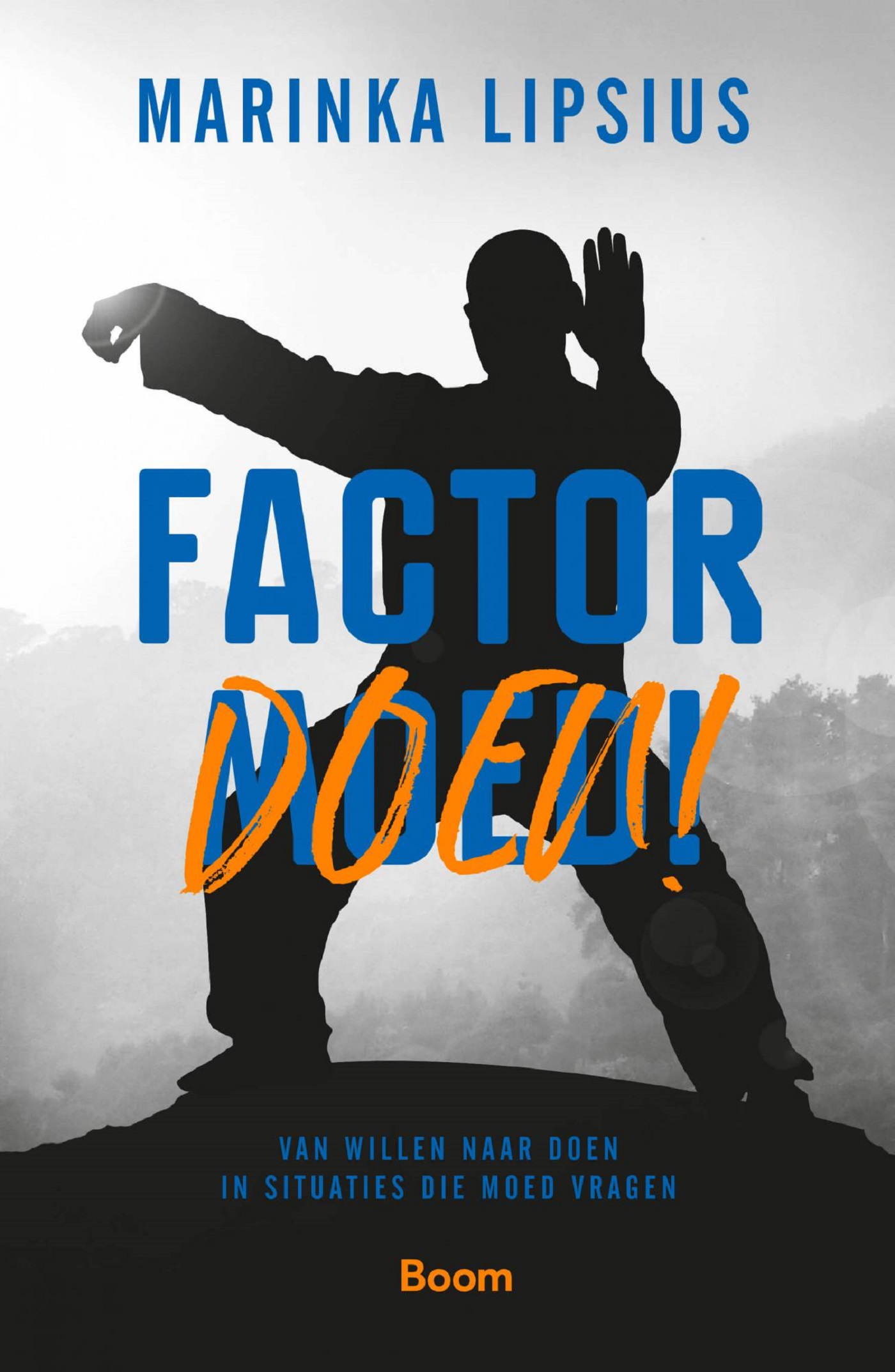 Omslag van Factor doen!