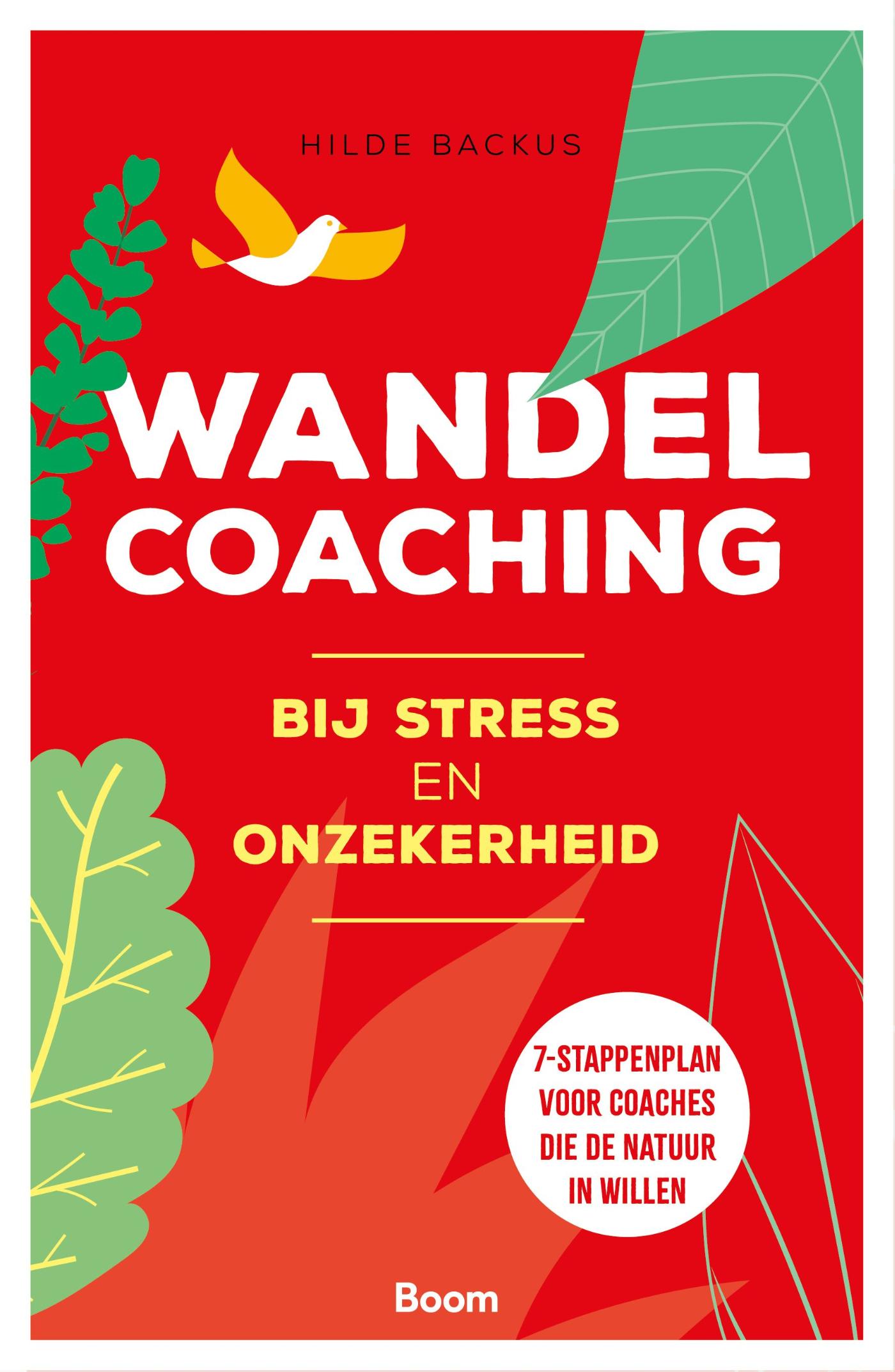Omslag van Wandelcoaching bij stress en onzekerheid