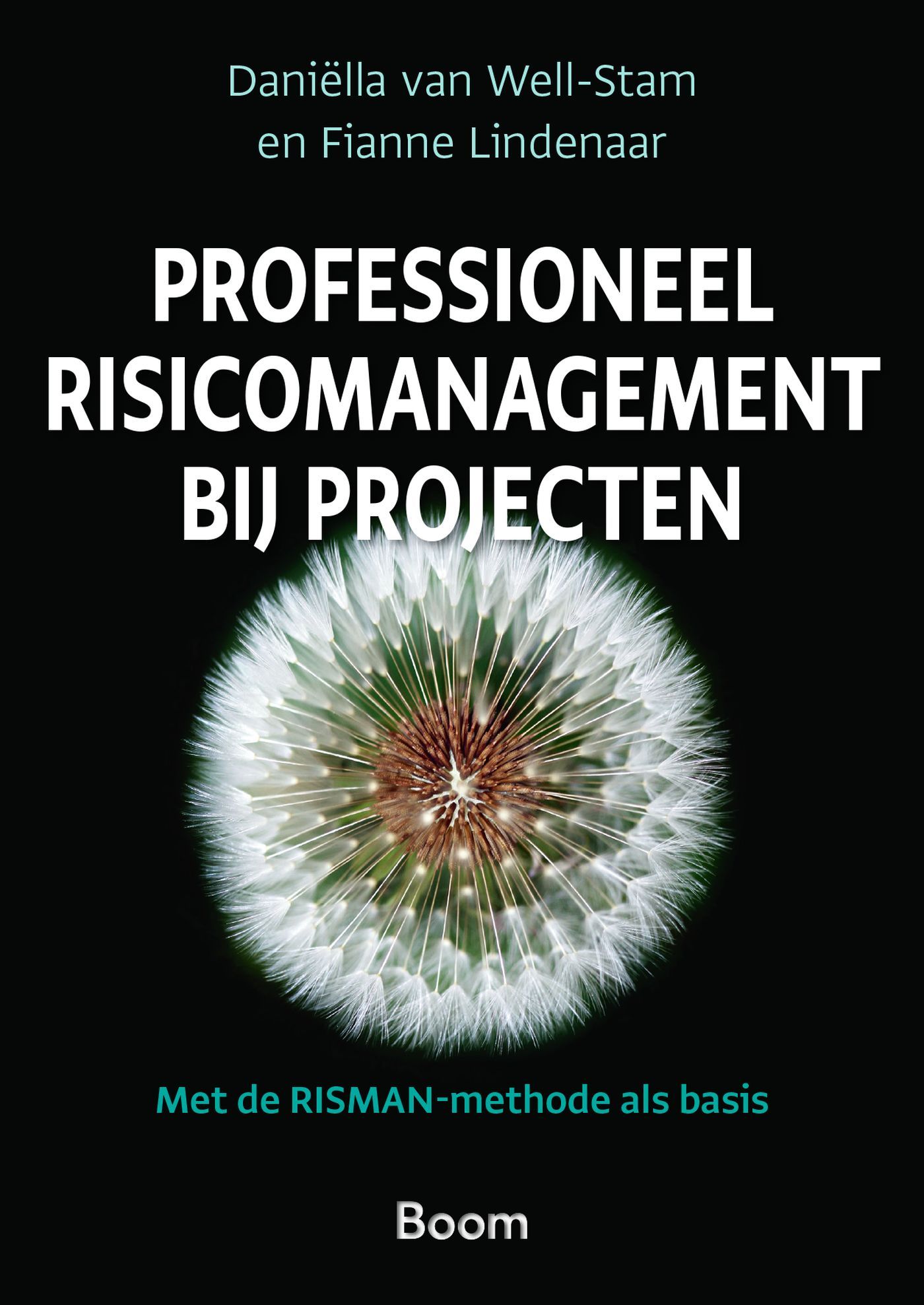 Omslag van Professioneel risicomanagement bij projecten