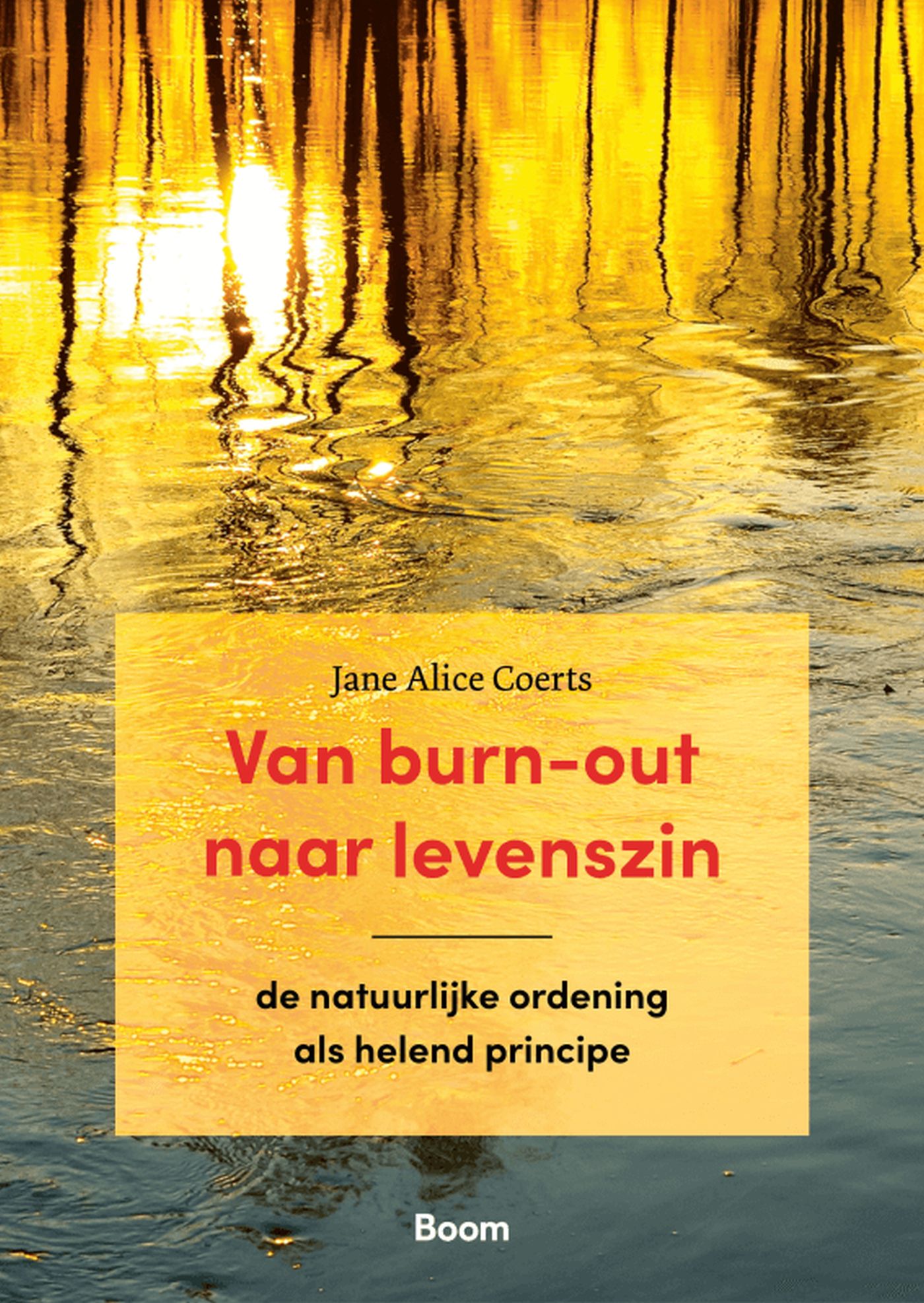 Omslag van Van burn-out naar levenszin