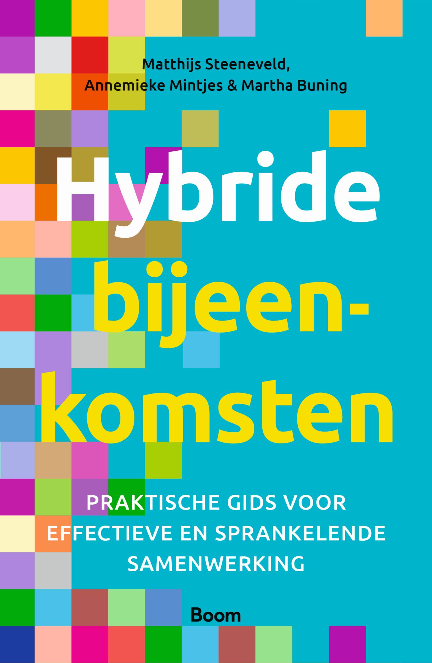 Omslag van Hybride bijeenkomsten