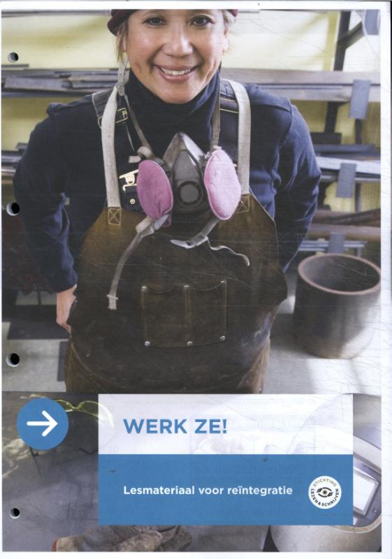 Omslag van Werk ze! - Materiaal deelnemer en vrijwilliger