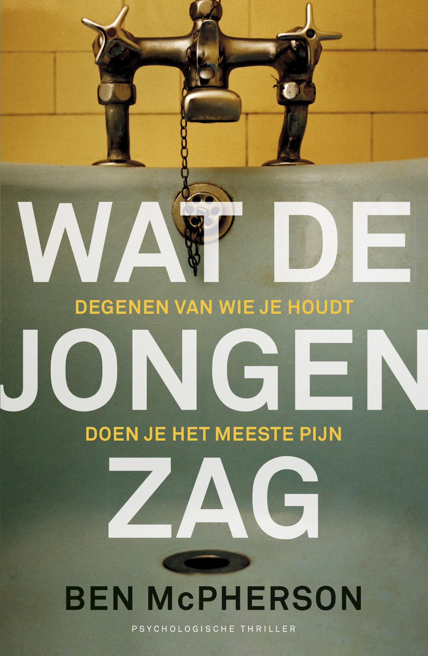 Omslag van Wat de jongen zag
