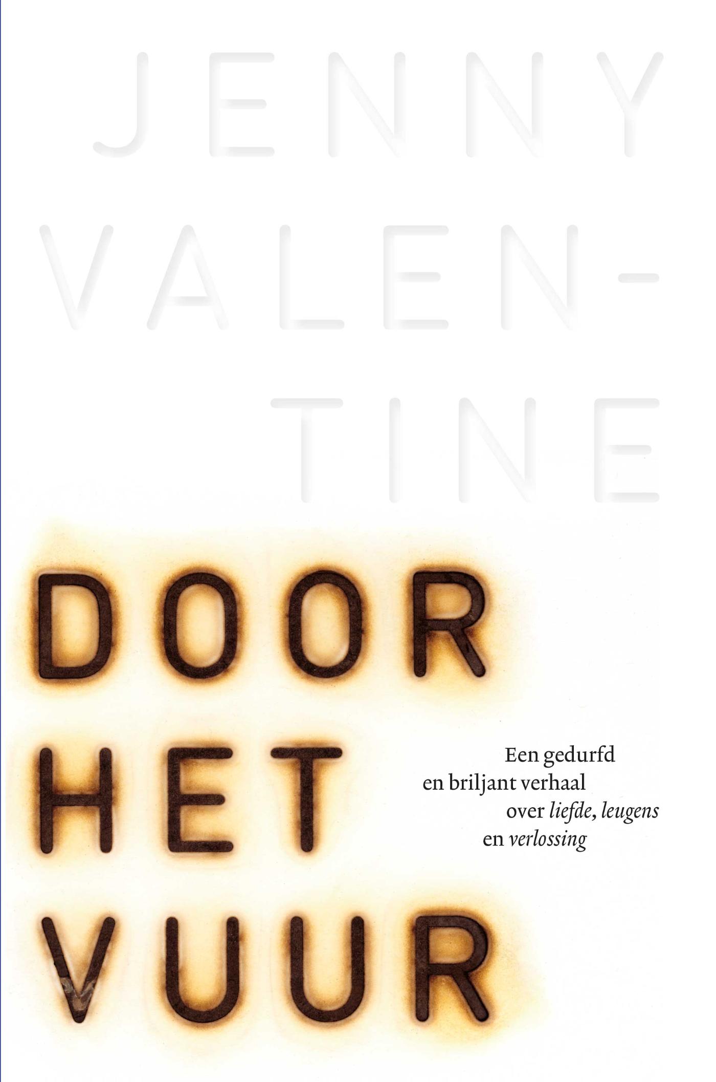 Omslag van Door het vuur