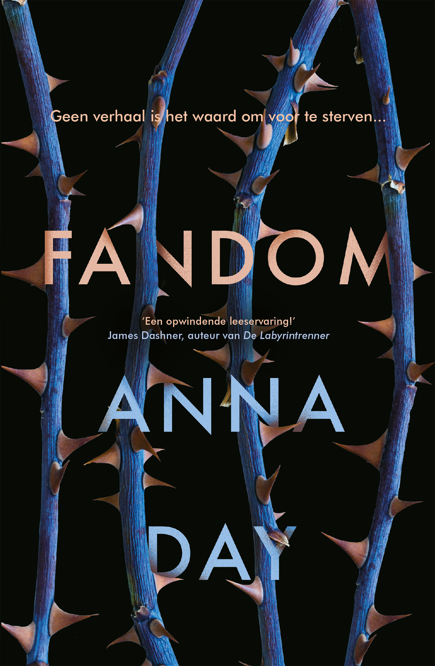 Omslag van Fandom