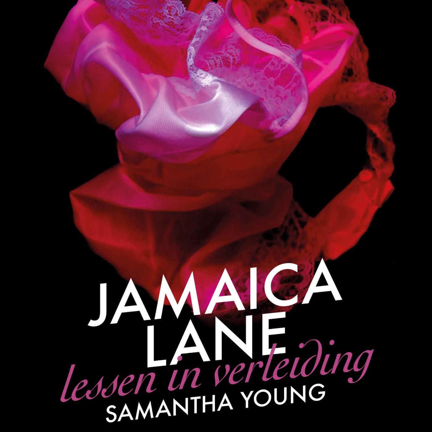 Omslag van Jamaica Lane - Lessen in verleiding
