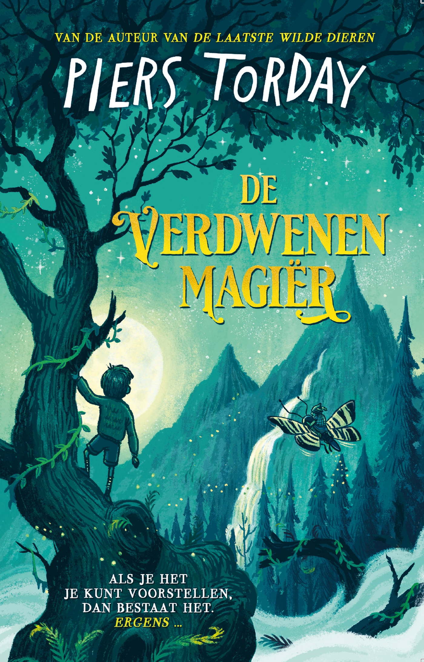 Omslag van De verdwenen magiër