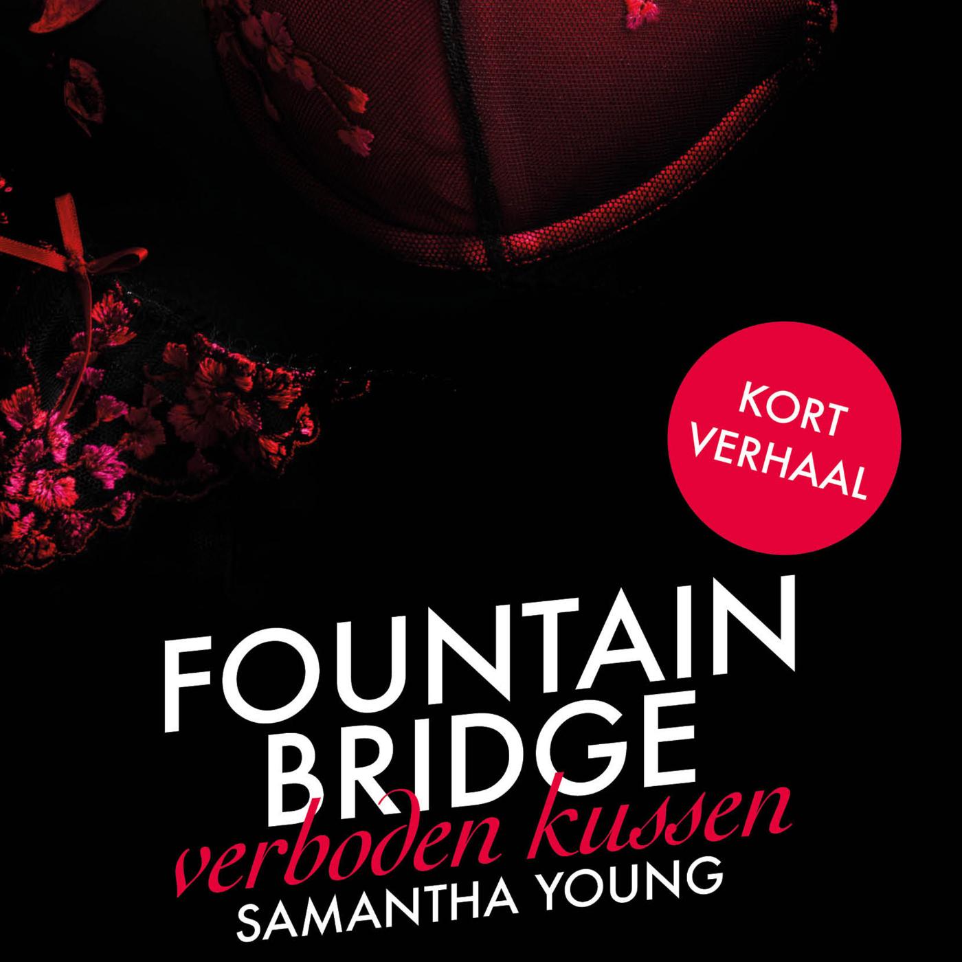 Omslag van Fountain Bridge - Verboden Kussen
