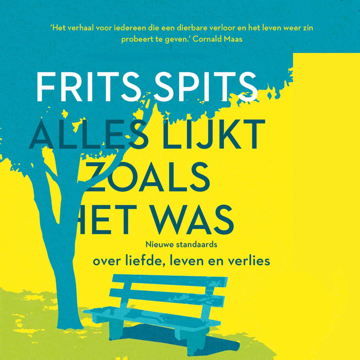 Omslag van Alles lijkt zoals het was