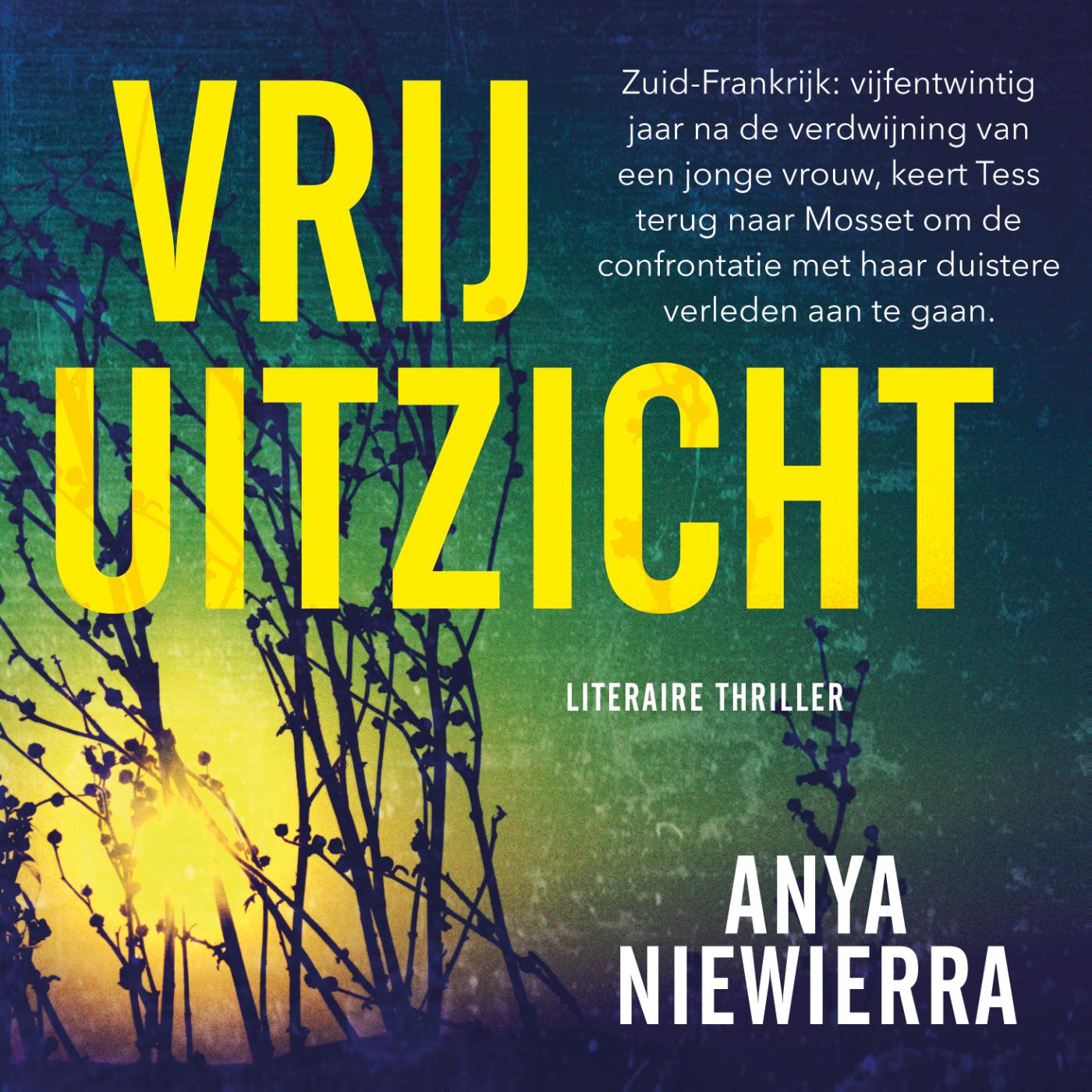 Omslag van Vrij uitzicht